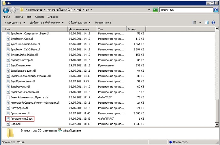 Файл «Приложение.барс» в каталоге сервера web-приложений