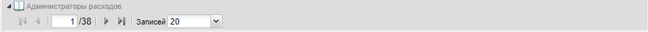 Панель настройки отображения записей в справочнике